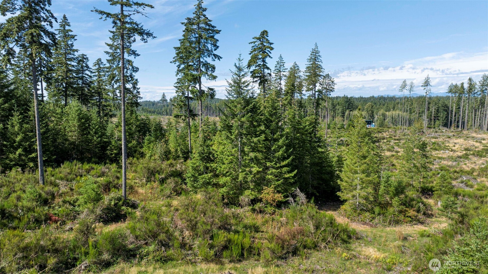 111 Northeast Ridgetop Crossing Belfair, WA 98528 - Photo 15 of 23 Gallery Image 15