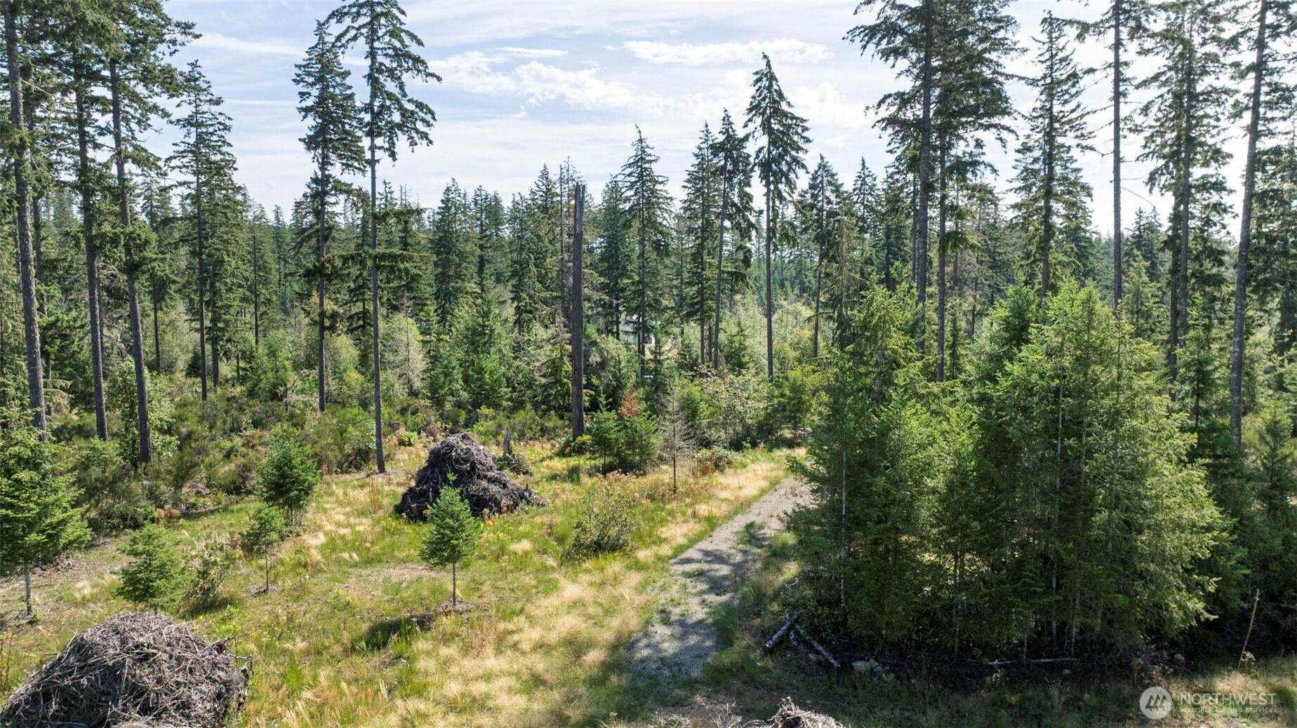 111 Northeast Ridgetop Crossing Belfair, WA 98528 - Photo 17 of 23 Gallery Image 17