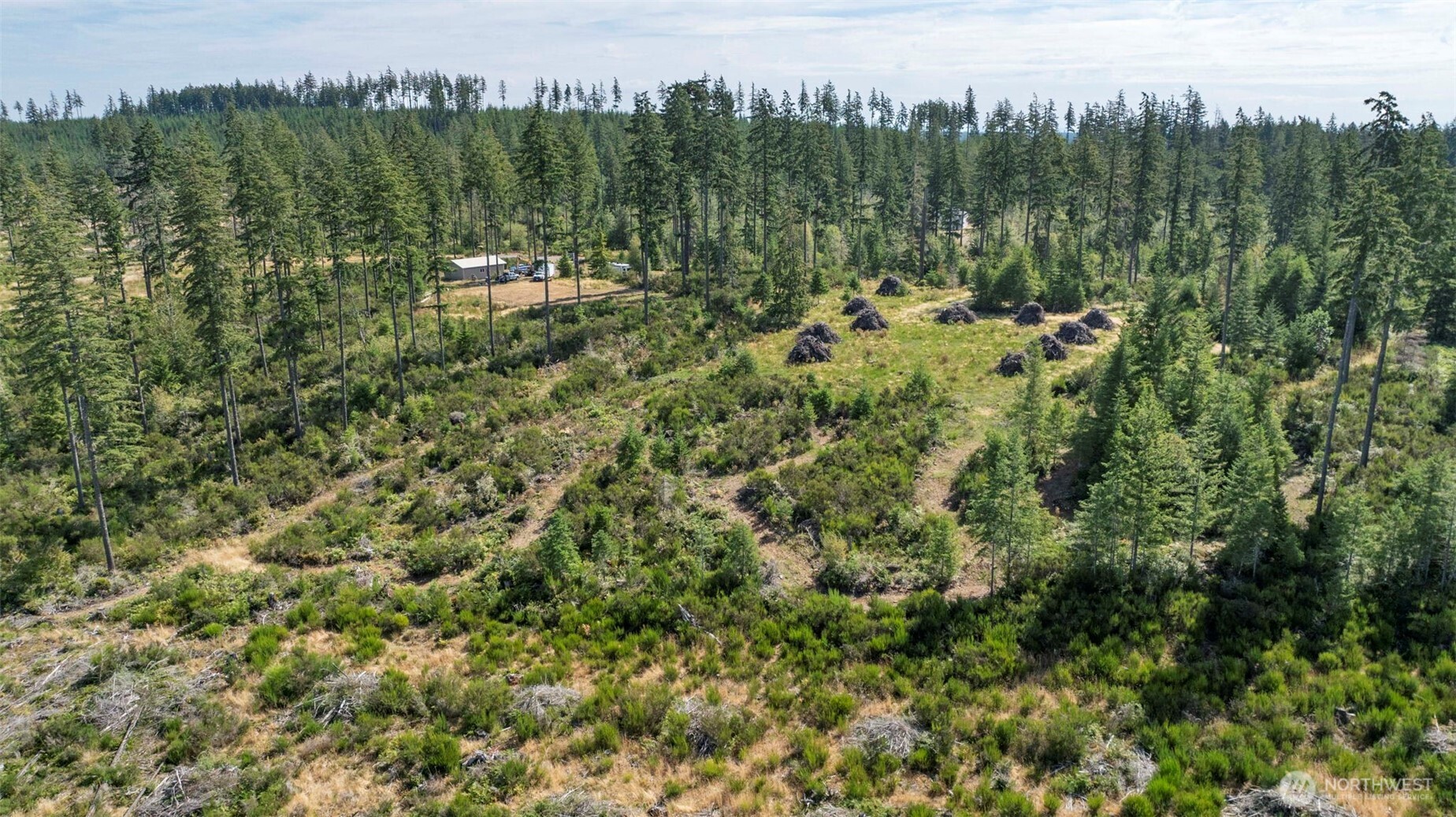 111 Northeast Ridgetop Crossing Belfair, WA 98528 - Photo 21 of 23 Gallery Image 21