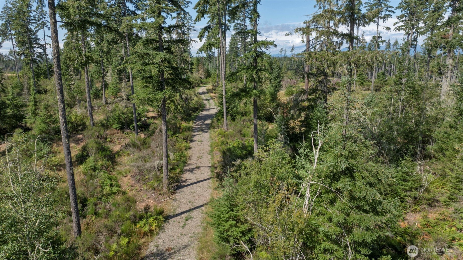 111 Northeast Ridgetop Crossing Belfair, WA 98528 - Photo 23 of 23 Gallery Image 23