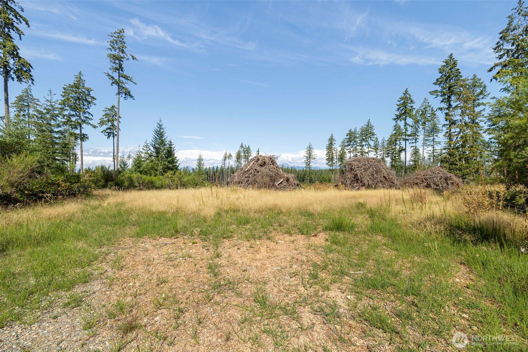111 Northeast Ridgetop Crossing Belfair, WA 98528 - Photo 5 of 23 Gallery Image 5