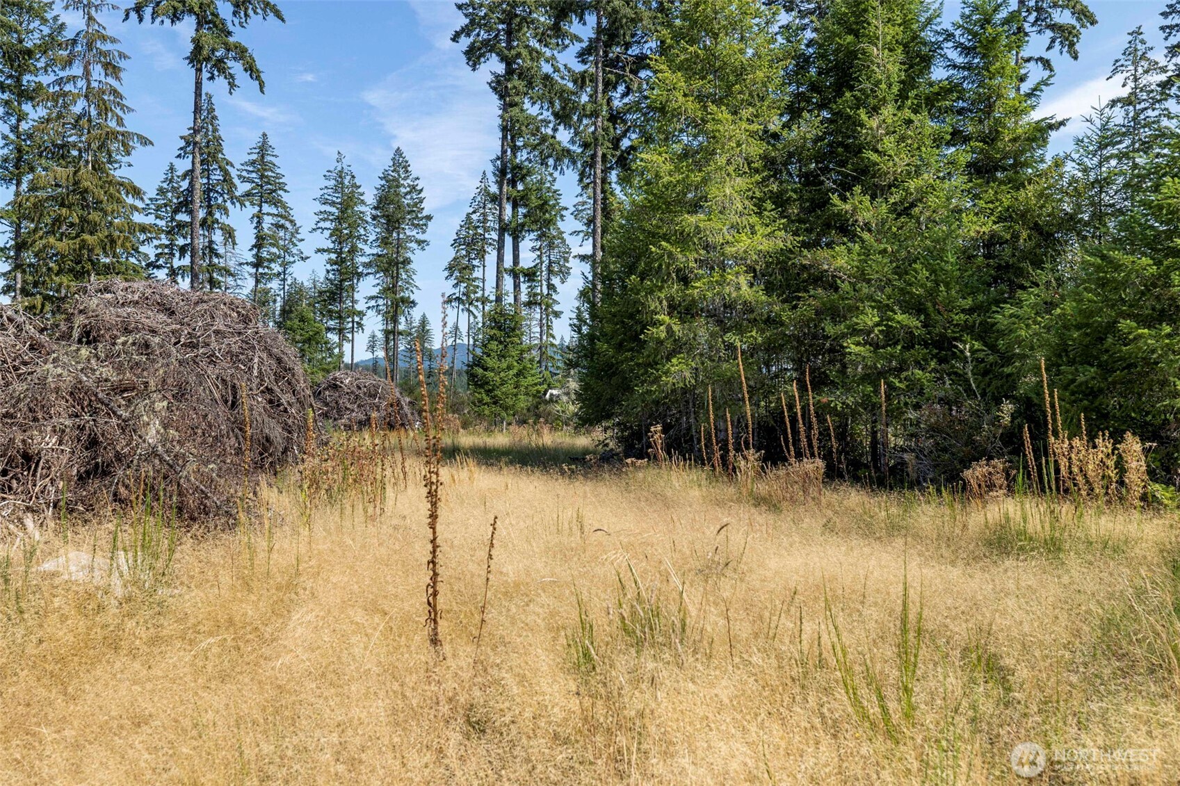 111 Northeast Ridgetop Crossing Belfair, WA 98528 - Photo 9 of 23 Gallery Image 9