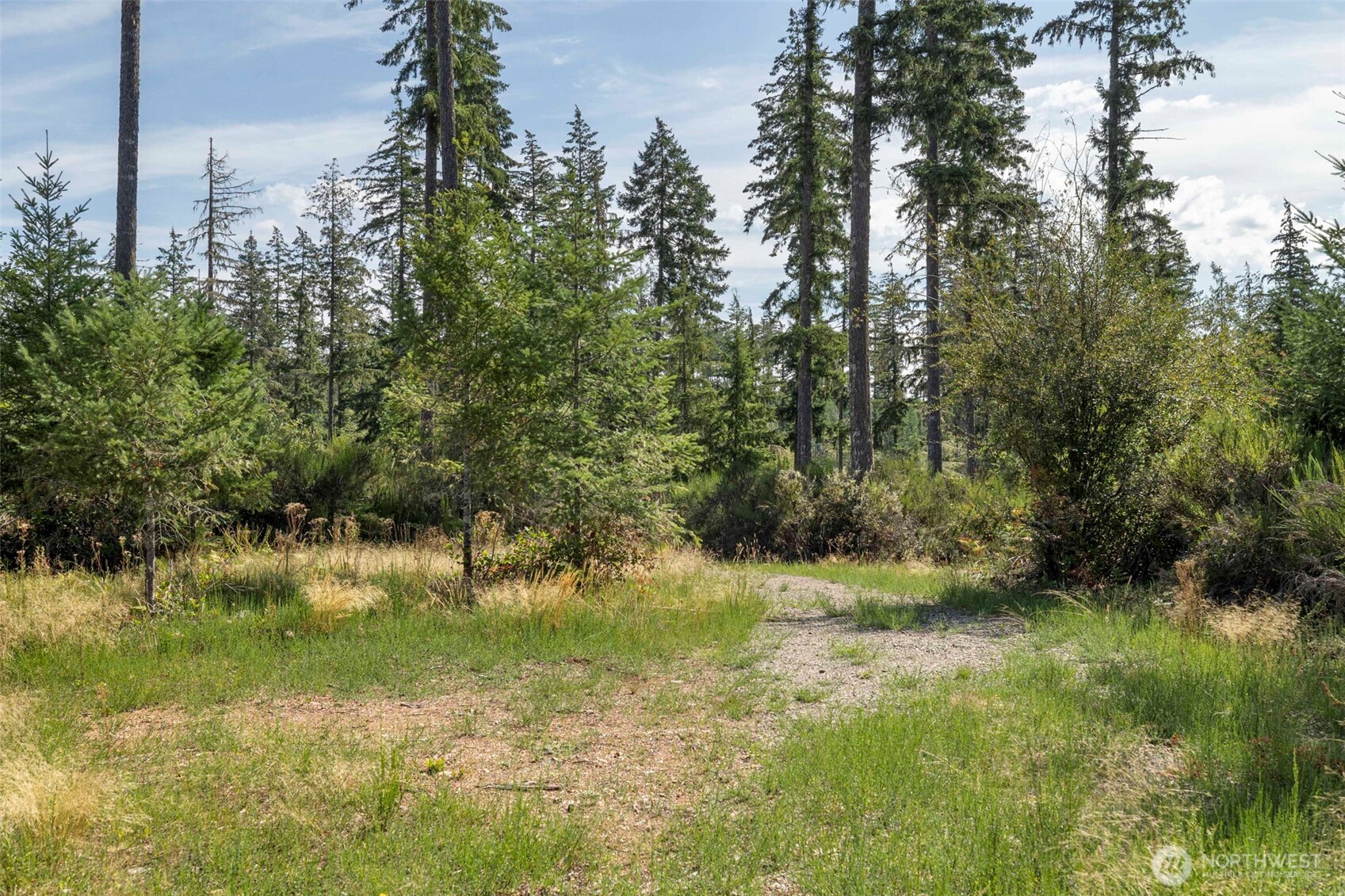 111 Northeast Ridgetop Crossing Belfair, WA 98528 - Photo 10 of 23 Gallery Image 10