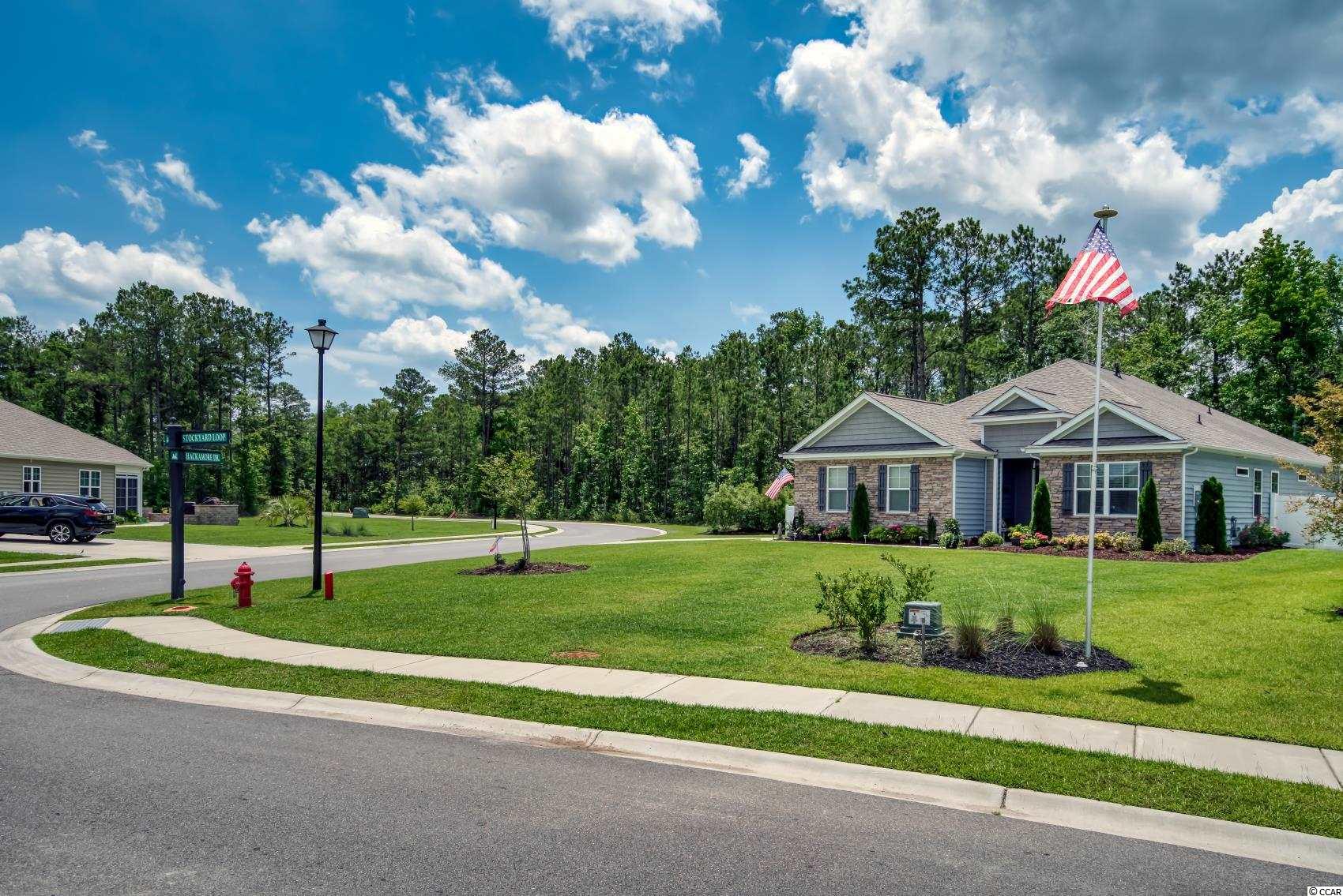 5191 Stockyard Loop Myrtle Beach, SC 29588 - Photo 3 of 39 Gallery Image 3