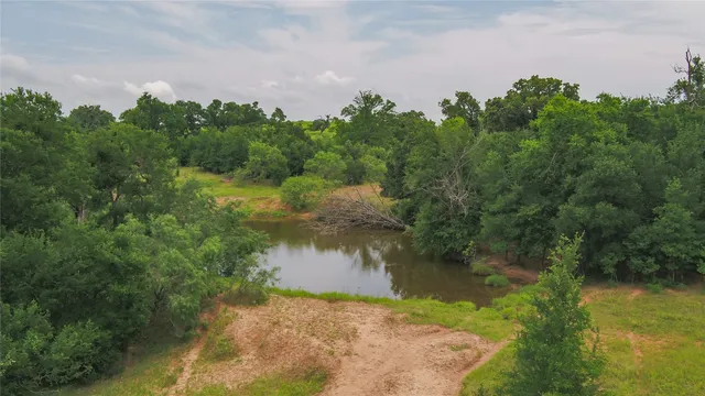 a view of a lake from a yard