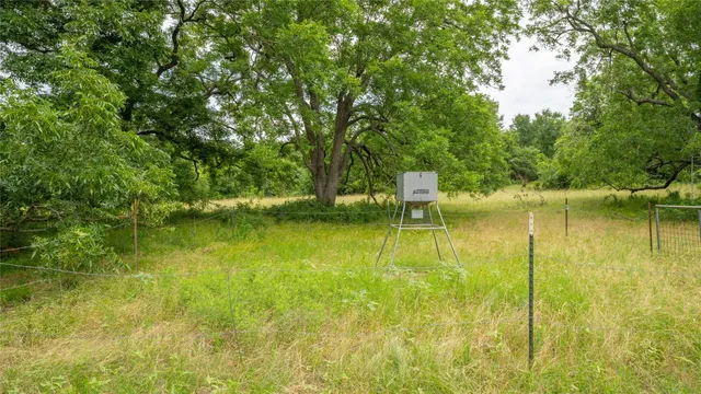 a view of yard with trees