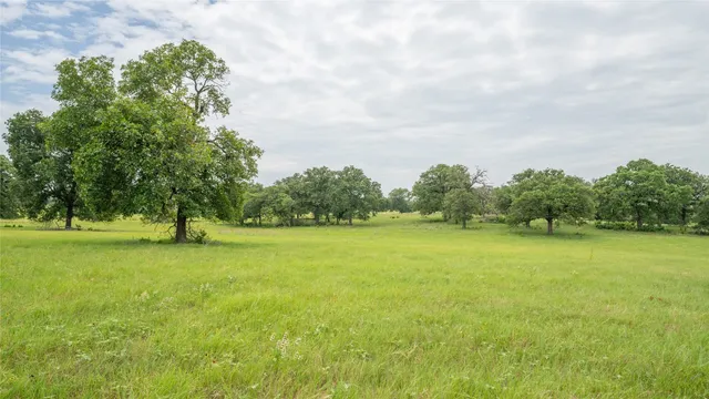 a view of a field with an ocean