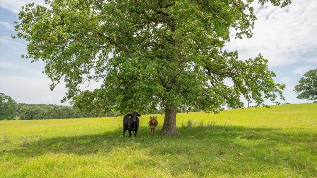 a view of an ocean and beach