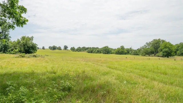 a view of an ocean from a yard
