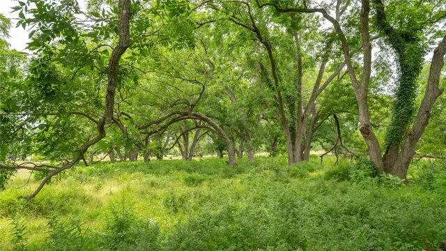a backyard of a house with lots of trees