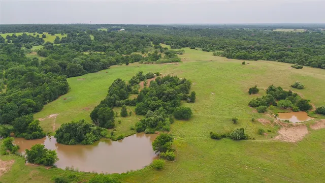 a view of a lake from a yard
