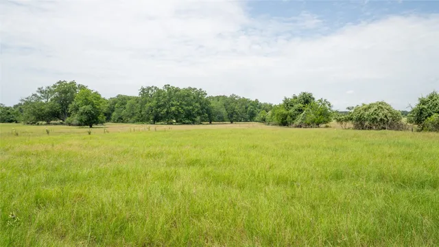 a view of an ocean and beach