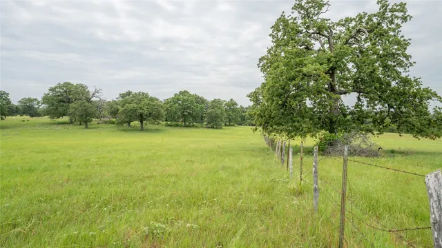 a view of a lake from a yard