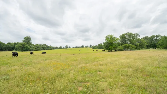 a view of a lake view