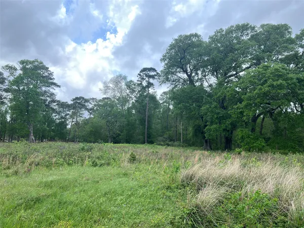 a view of outdoor space with green field and trees all around