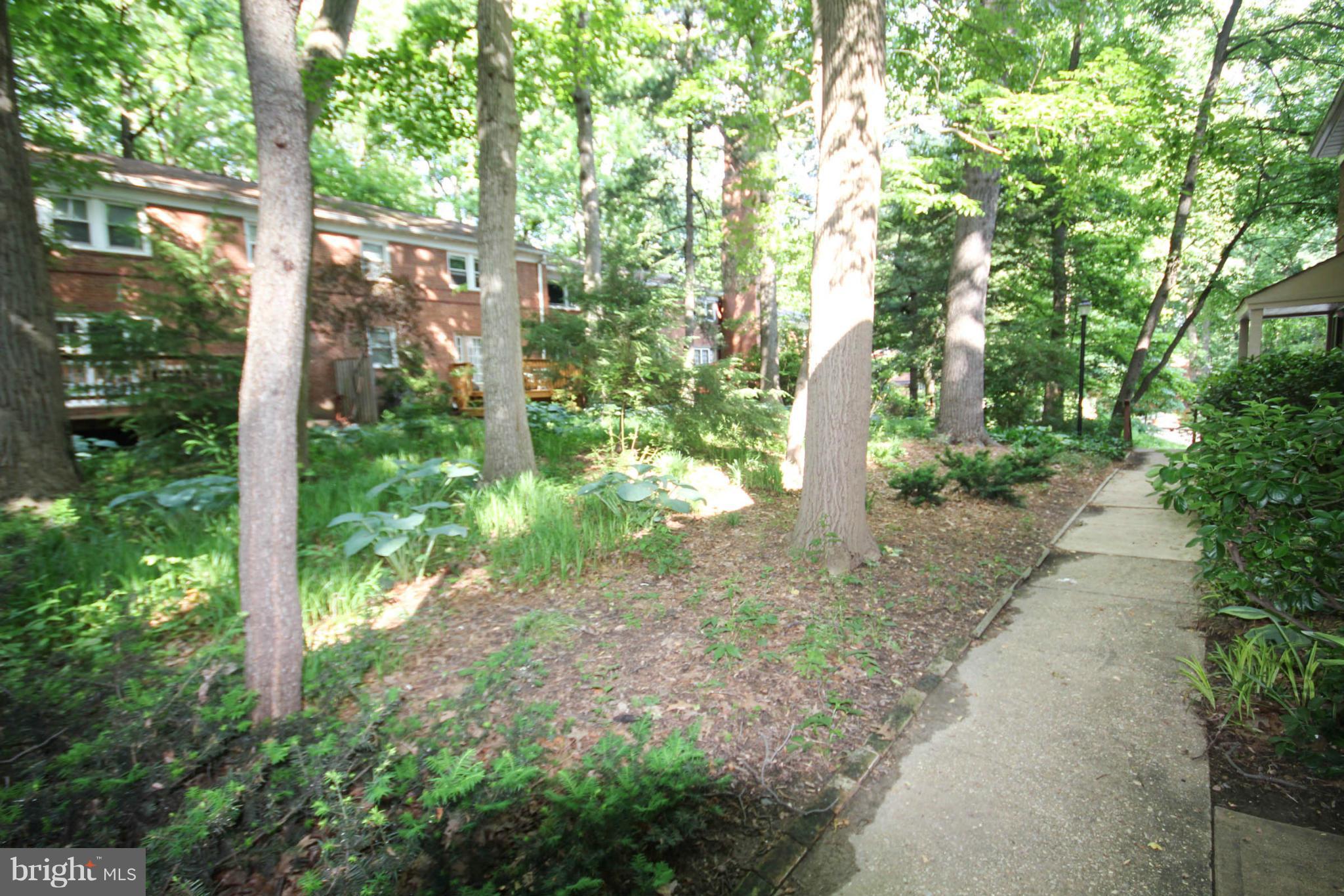 8530 Geren Road, Unit 173 Silver Spring, MD 20901 - Photo 26 of 26 Exterior (General)