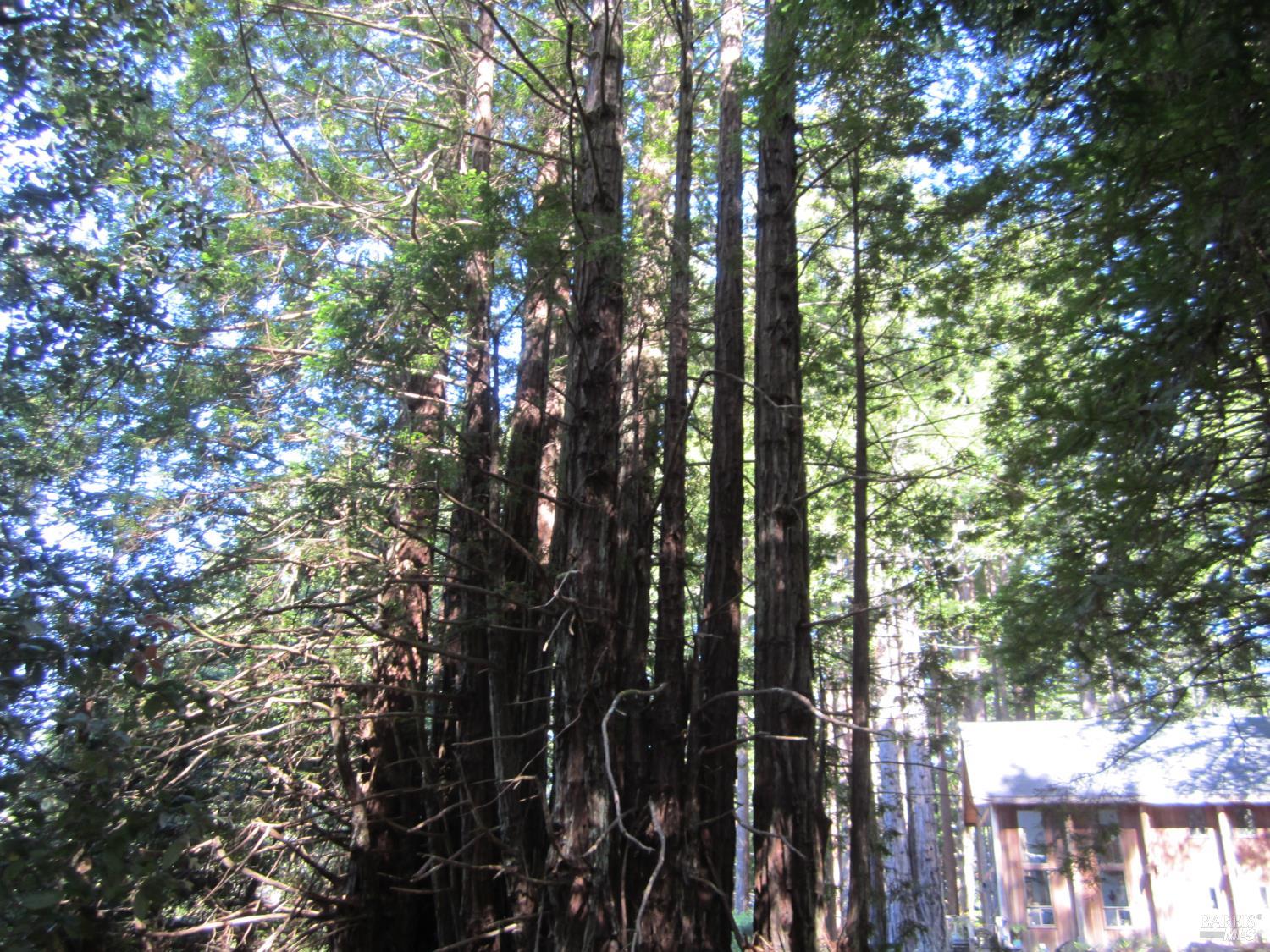 398 Packet Close The Sea Ranch, CA 95497 - Photo 13 of 14