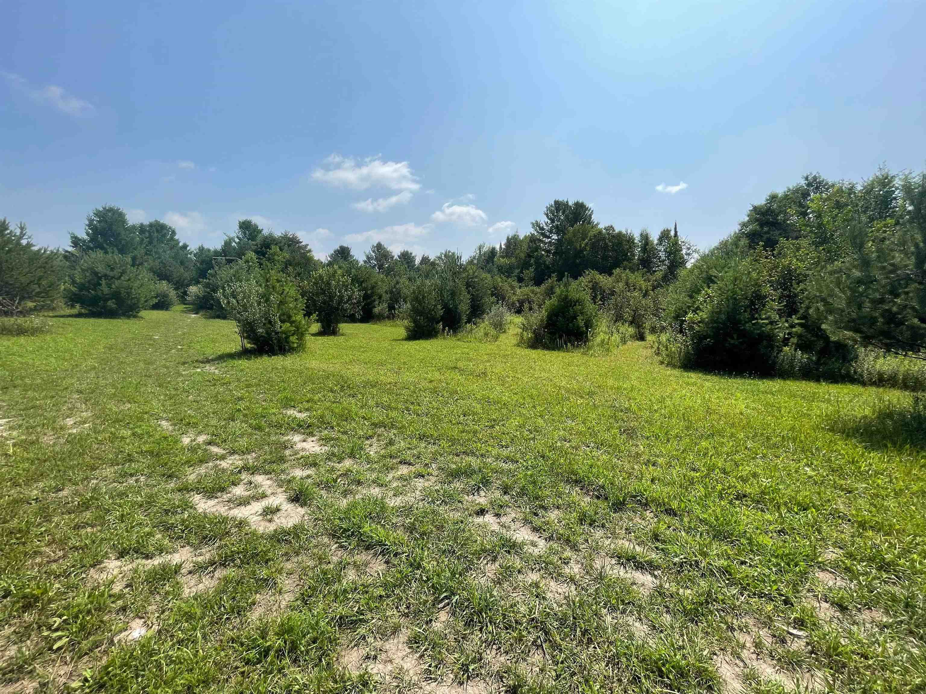 2382 Bass Lake Road Lupton, MI 48635 - Photo 40 of 50