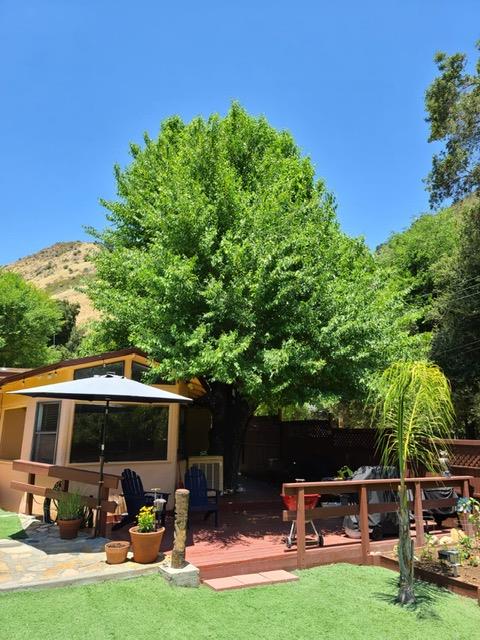 47510 Arroyo Seco Road Greenfield, CA 93927 - Photo 51 of 60 Gallery Image 51
