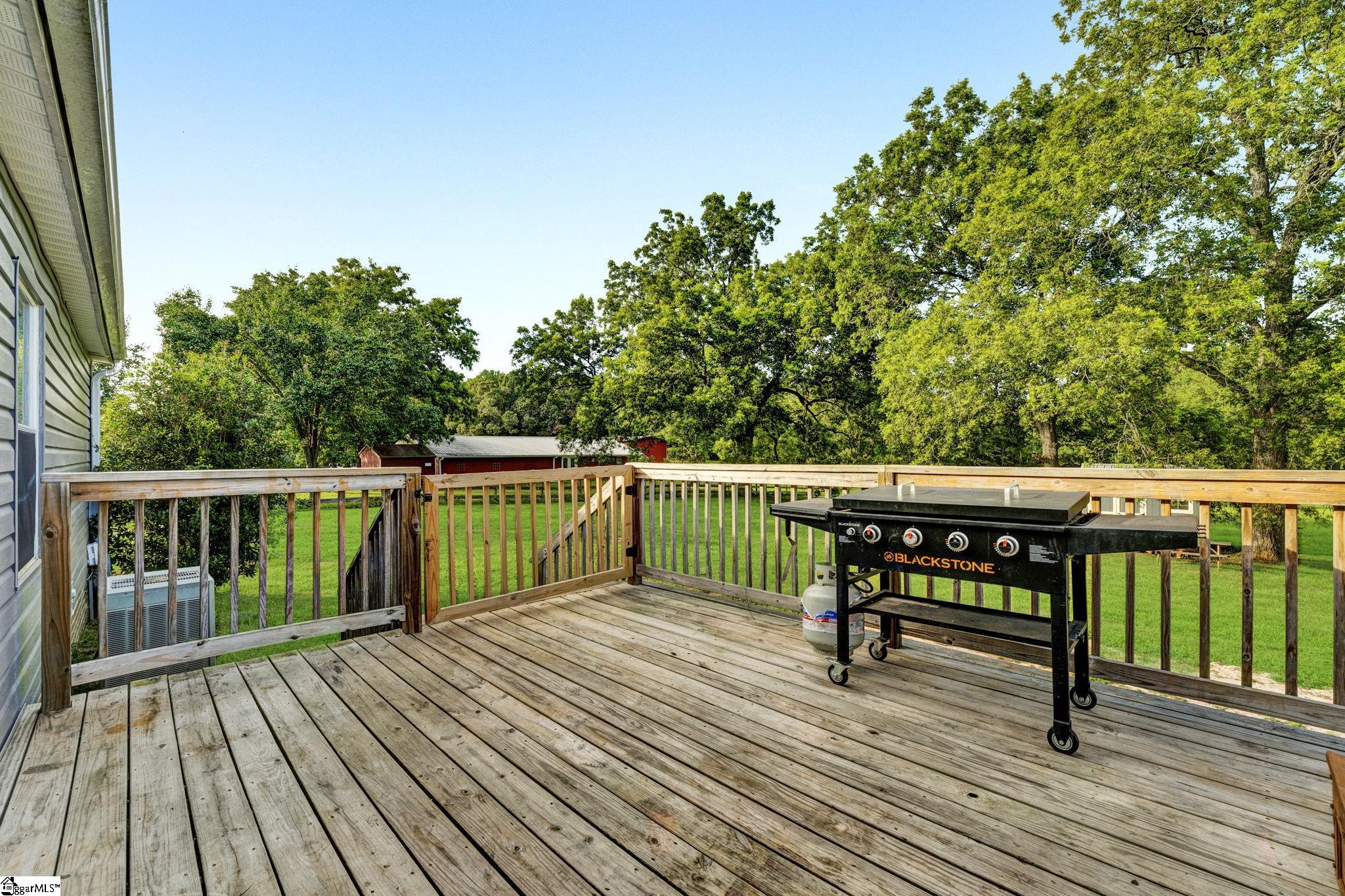 6055 Greenpond Road Gray Court, SC 29645 - Photo 32 of 36