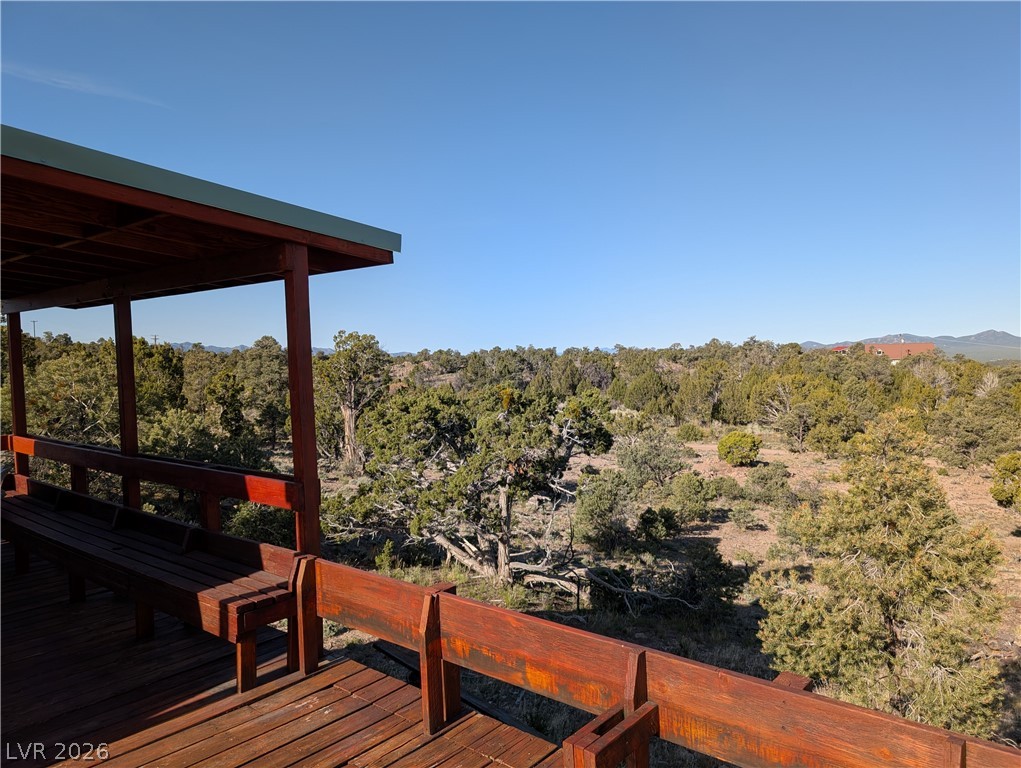 20912 Rice Road Pioche, NV 89043 - Photo 24 of 32