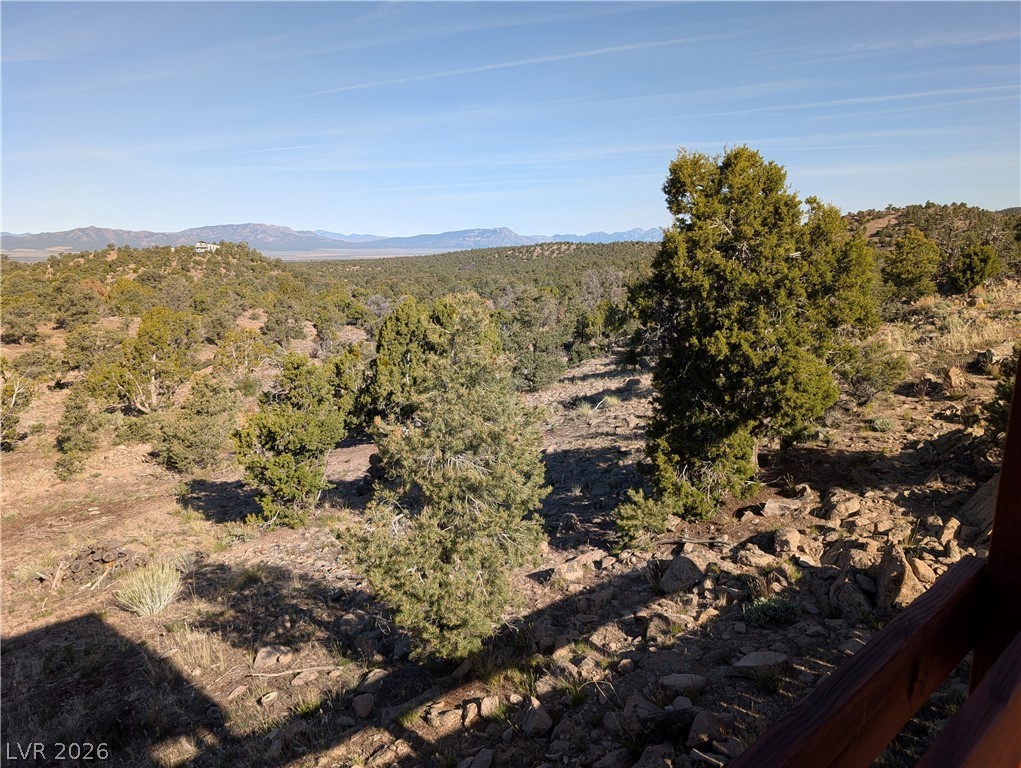 20912 Rice Road Pioche, NV 89043 - Photo 31 of 32