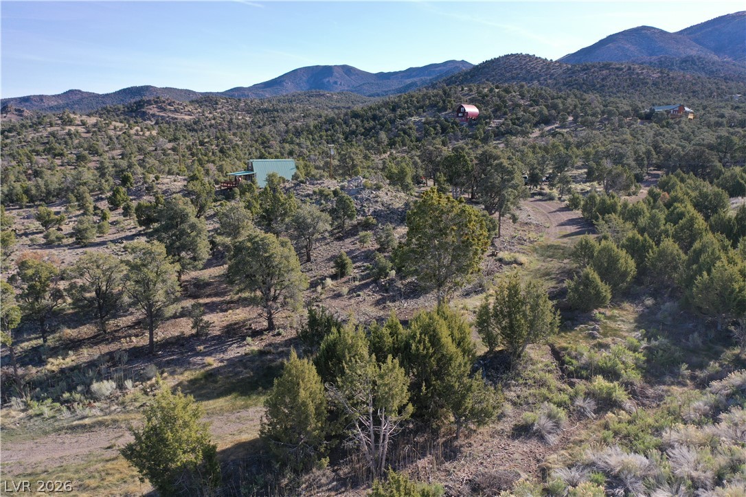20912 Rice Road Pioche, NV 89043 - Photo 4 of 32
