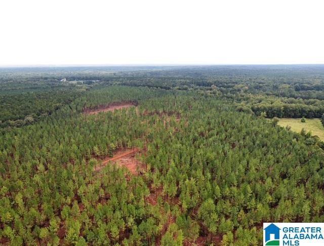 231 Us Highway Mathews, AL 36052 - Photo 20 of 22