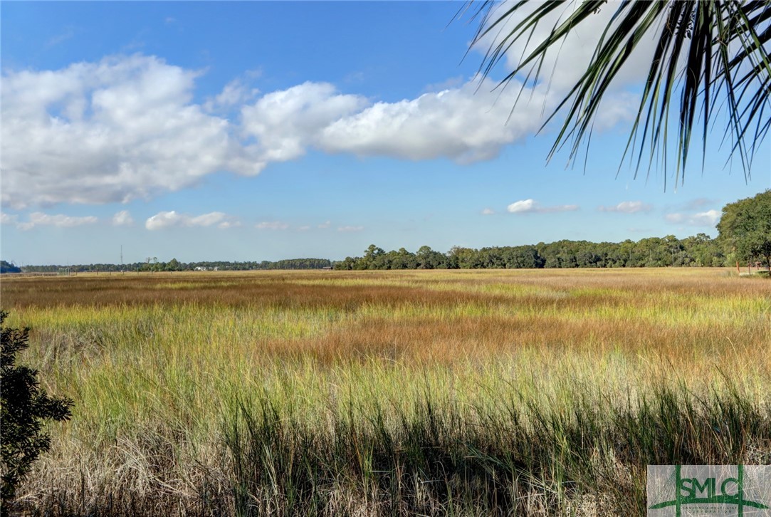 72 Shipwatch Road Savannah, GA 31410 - Photo 32 of 34