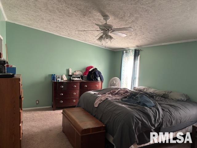 307 Main Street Modesto, IL 62667 - Photo 5 of 6