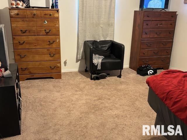 307 Main Street Modesto, IL 62667 - Photo 6 of 6