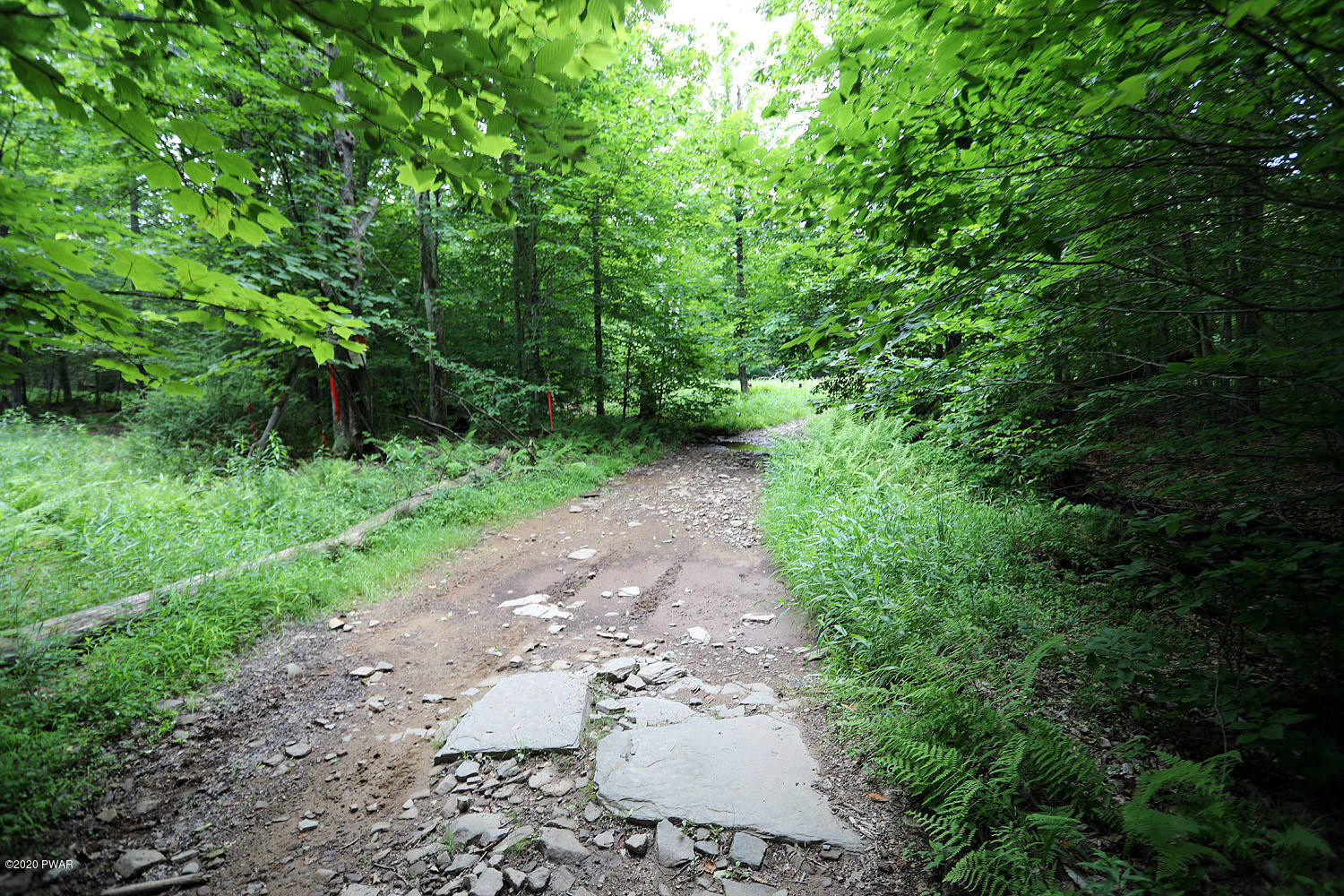 0 Minckler Mountain Road Equinunk, PA 18417 - Photo 17 of 39