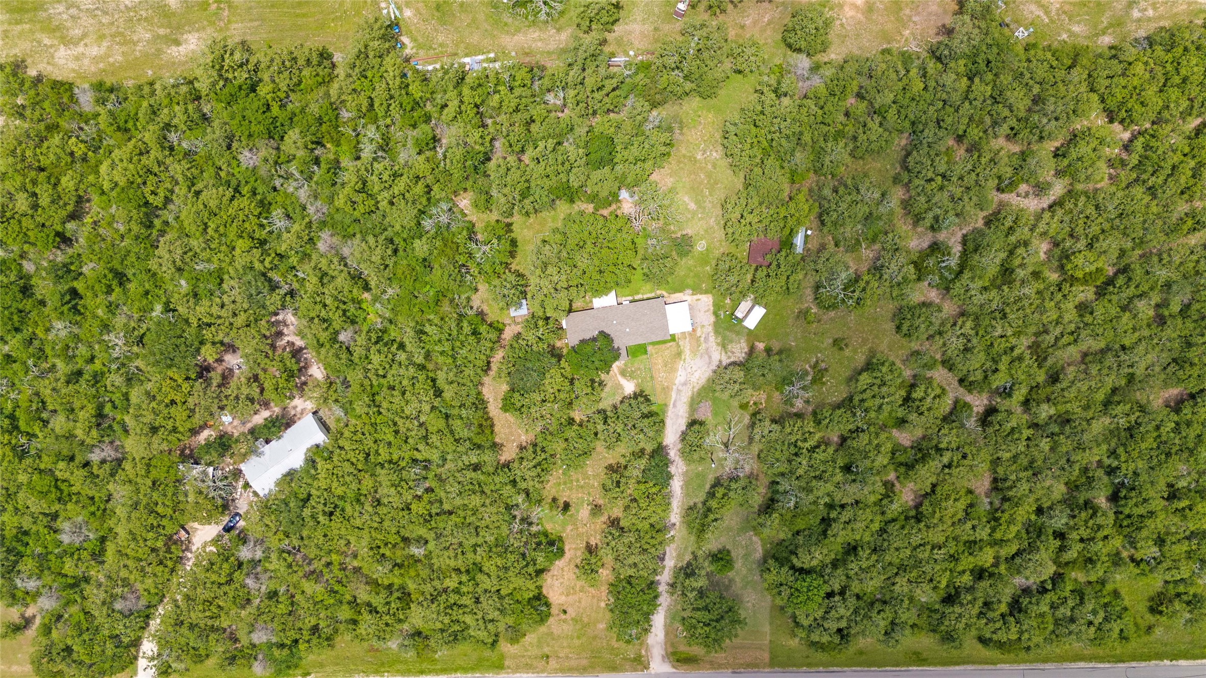 5845 Thousand Oaks Road College Station, TX 77845 - Photo 12 of 13 a close up of a plant