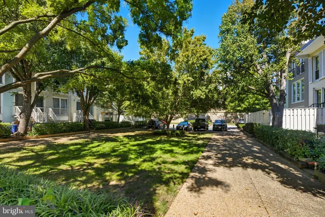 a view of a yard with plants and trees