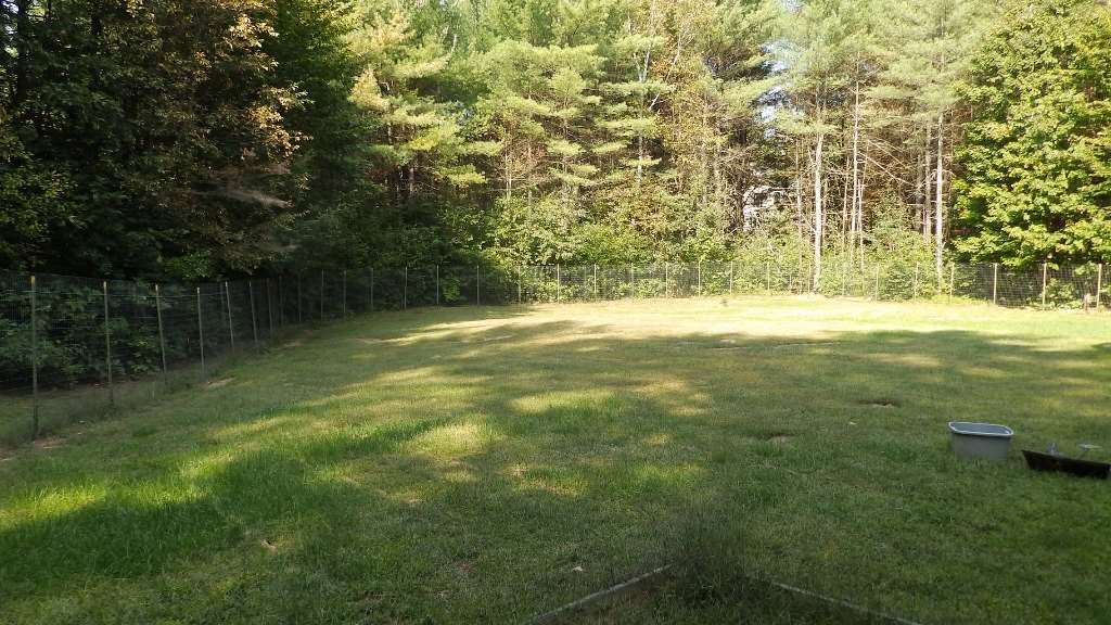 11 Maria Jane Road New Hampton, NH 03256 - Photo 6 of 27