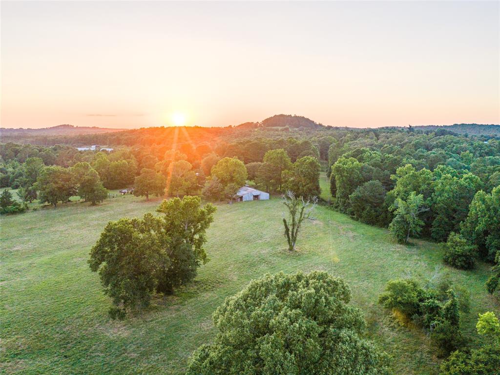9822 Nasturtium Road Ore City, TX 75683 - Photo 3 of 30