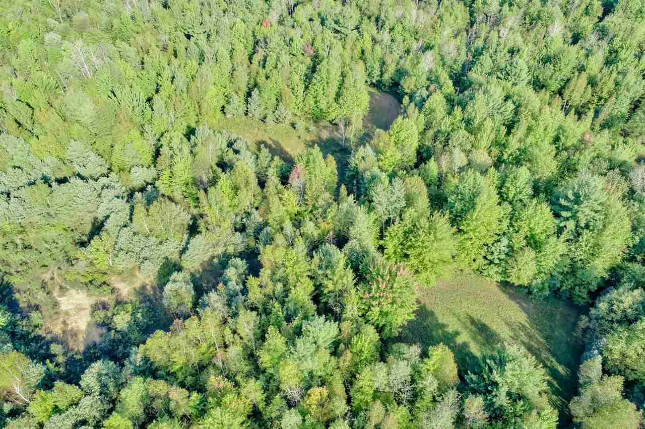 3696 Waltan Road Vassar, MI 48768 - Photo 21 of 27