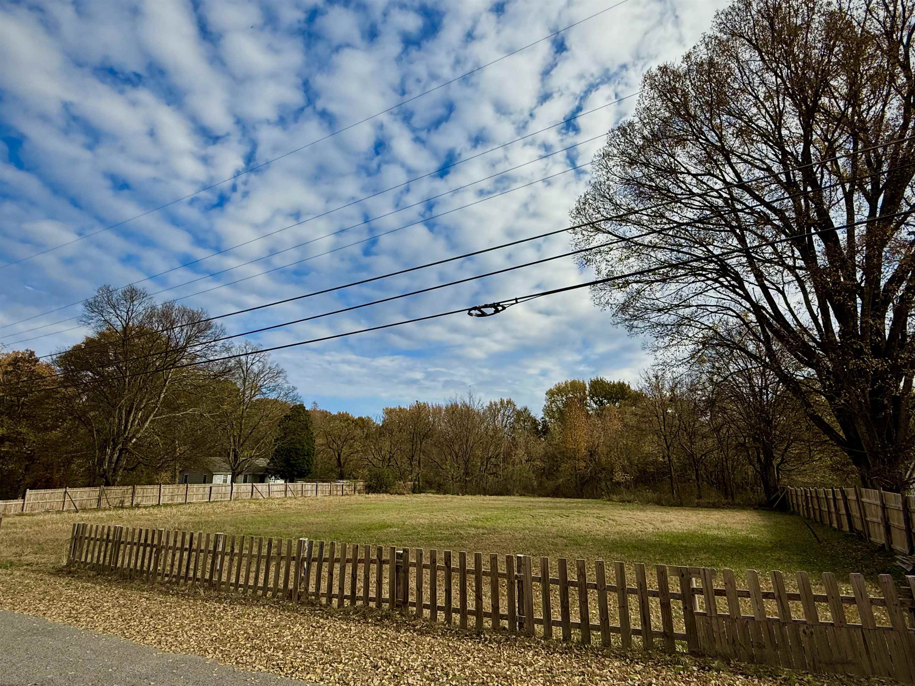 3520 Cook Road Memphis, TN 38109 - Photo 5 of 7 a view of a yard
