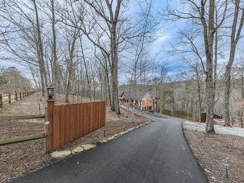 1670 Outback Road Jasper, GA 30143 - Photo 68 of 75 a view of a street with a large tree