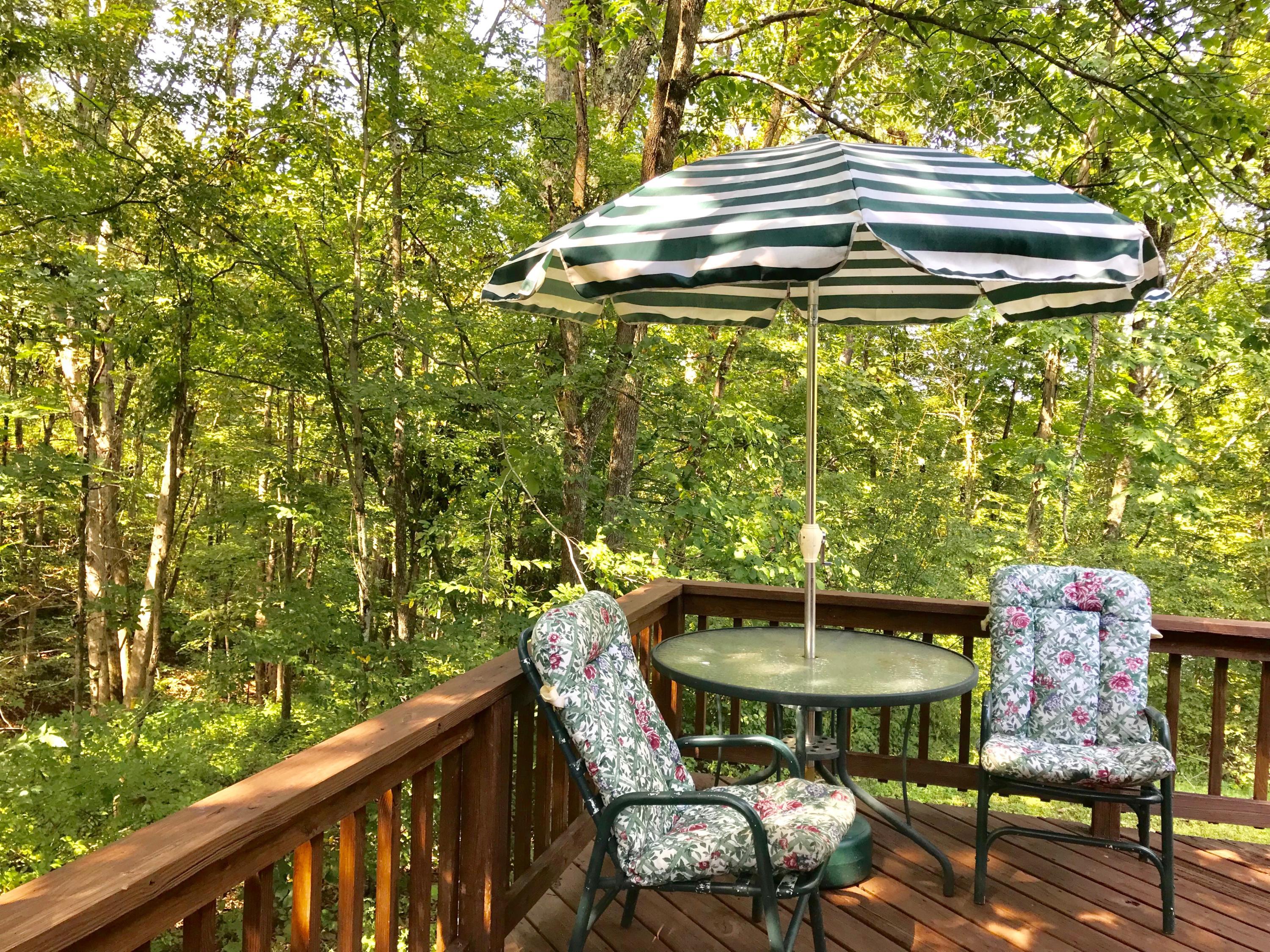 5779 Beard Price Road Glouster, OH 45732 - Photo 19 of 95