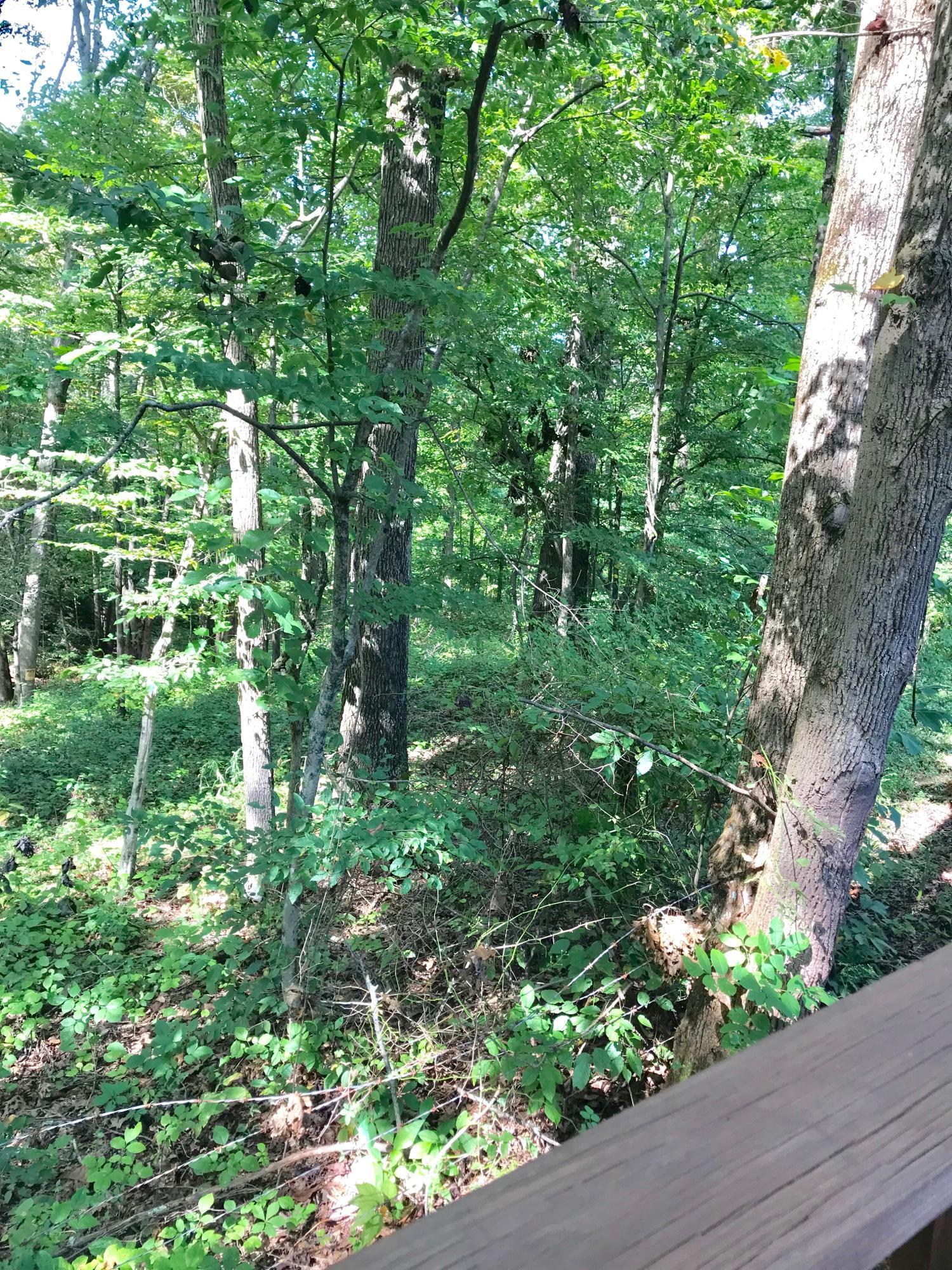 5779 Beard Price Road Glouster, OH 45732 - Photo 23 of 95