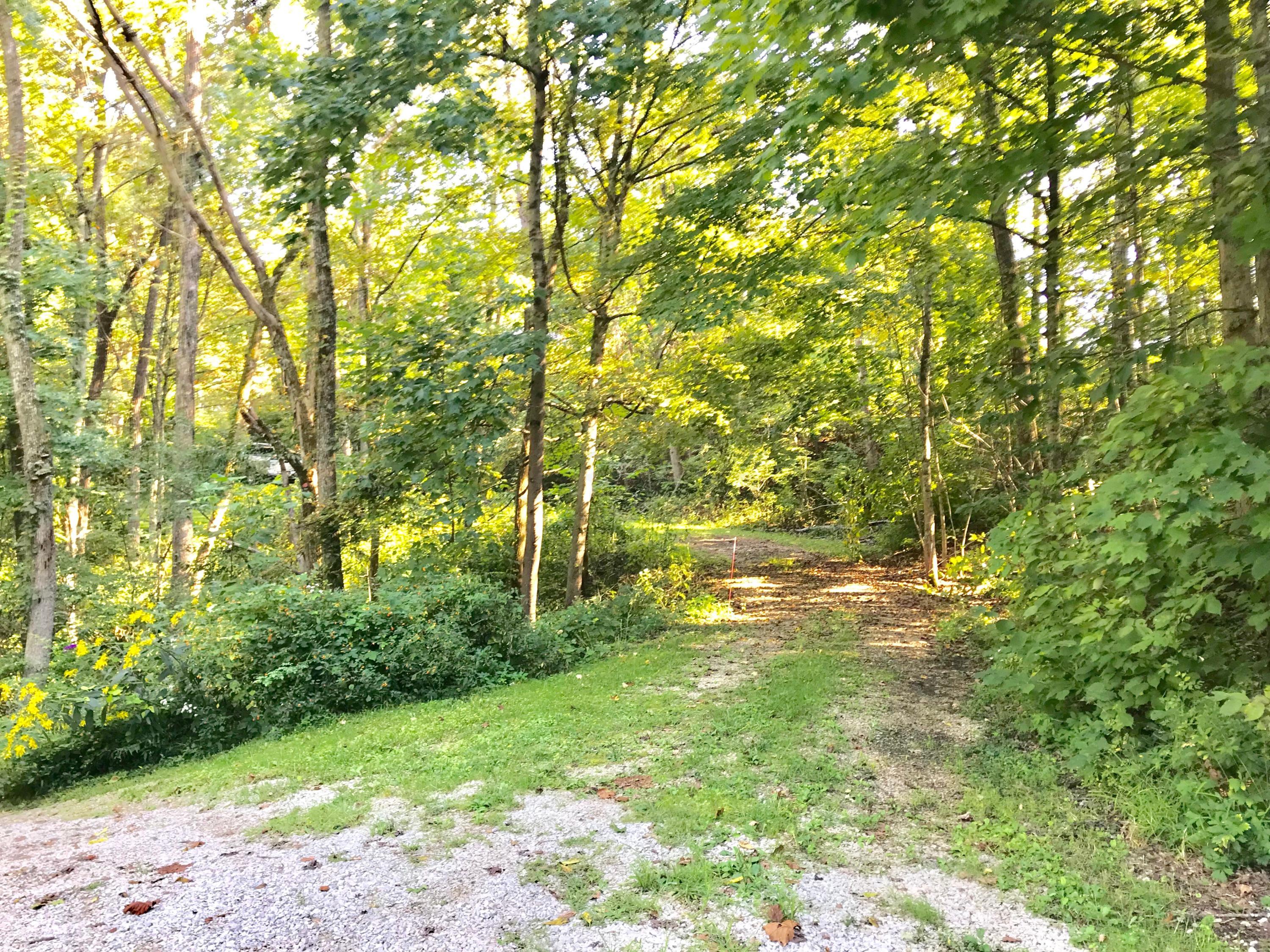 5779 Beard Price Road Glouster, OH 45732 - Photo 75 of 95