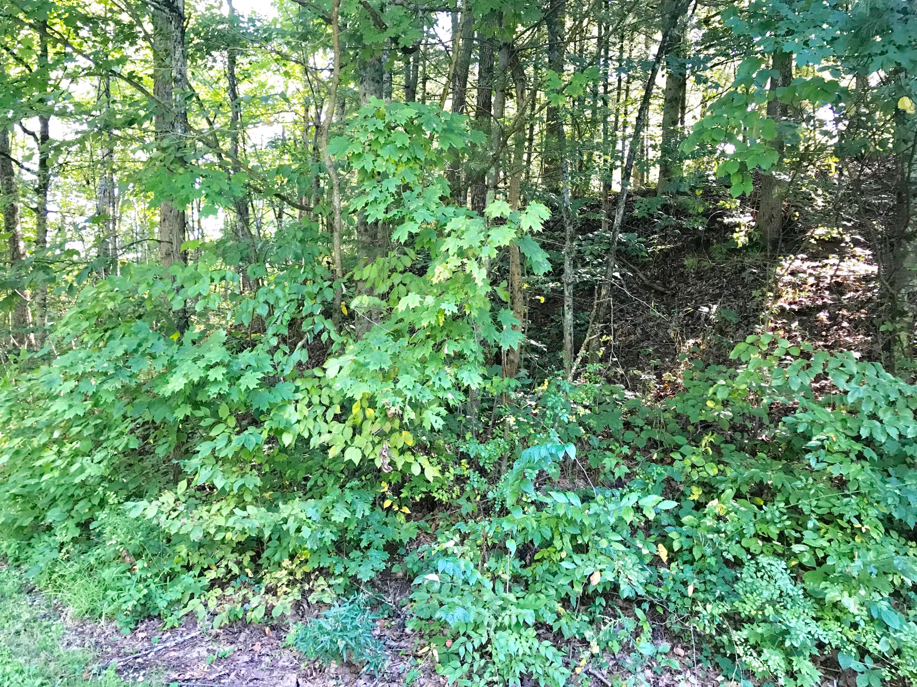 5779 Beard Price Road Glouster, OH 45732 - Photo 78 of 95