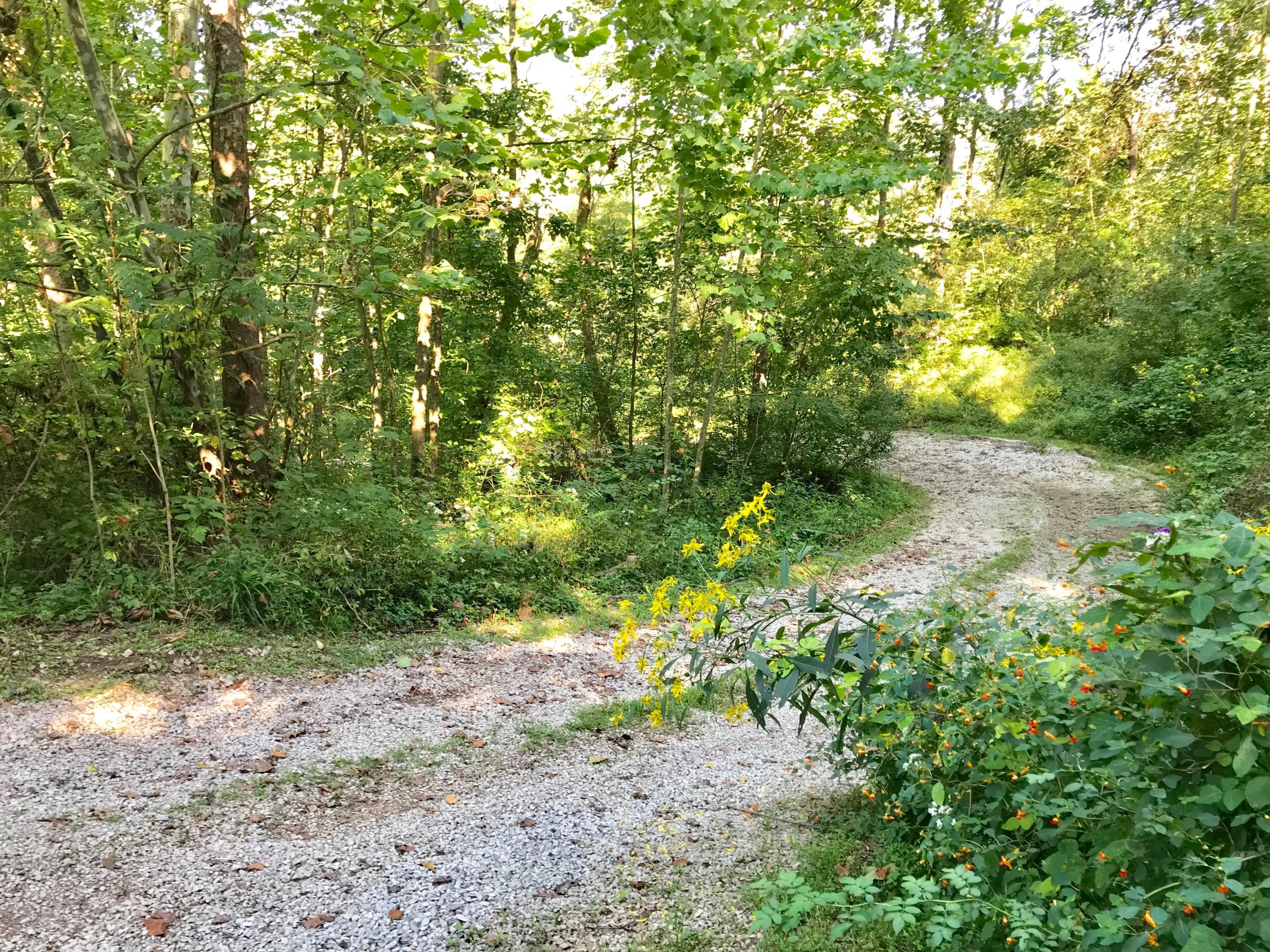 5779 Beard Price Road Glouster, OH 45732 - Photo 79 of 95