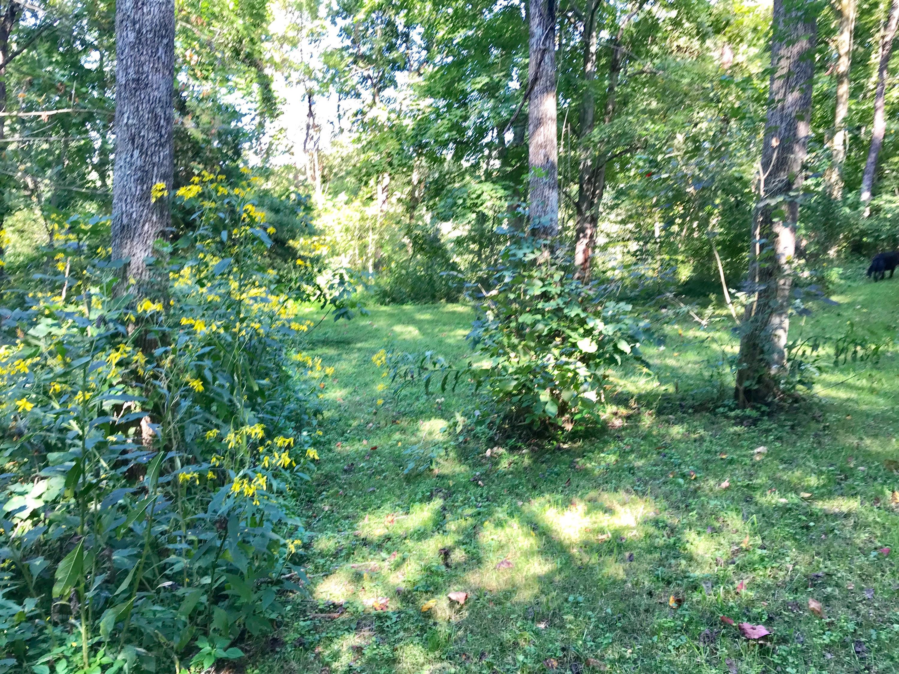 5779 Beard Price Road Glouster, OH 45732 - Photo 81 of 95
