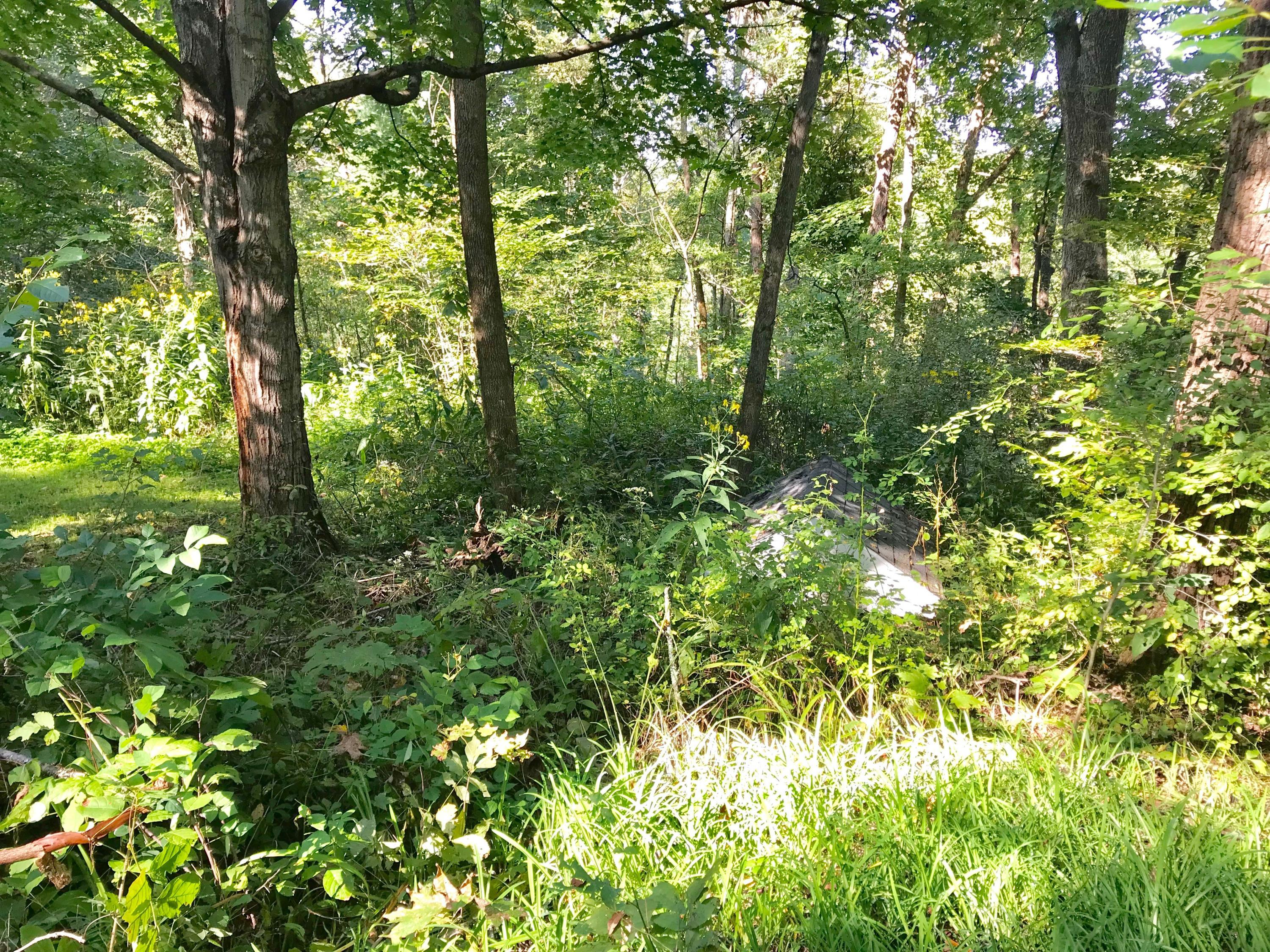 5779 Beard Price Road Glouster, OH 45732 - Photo 84 of 95