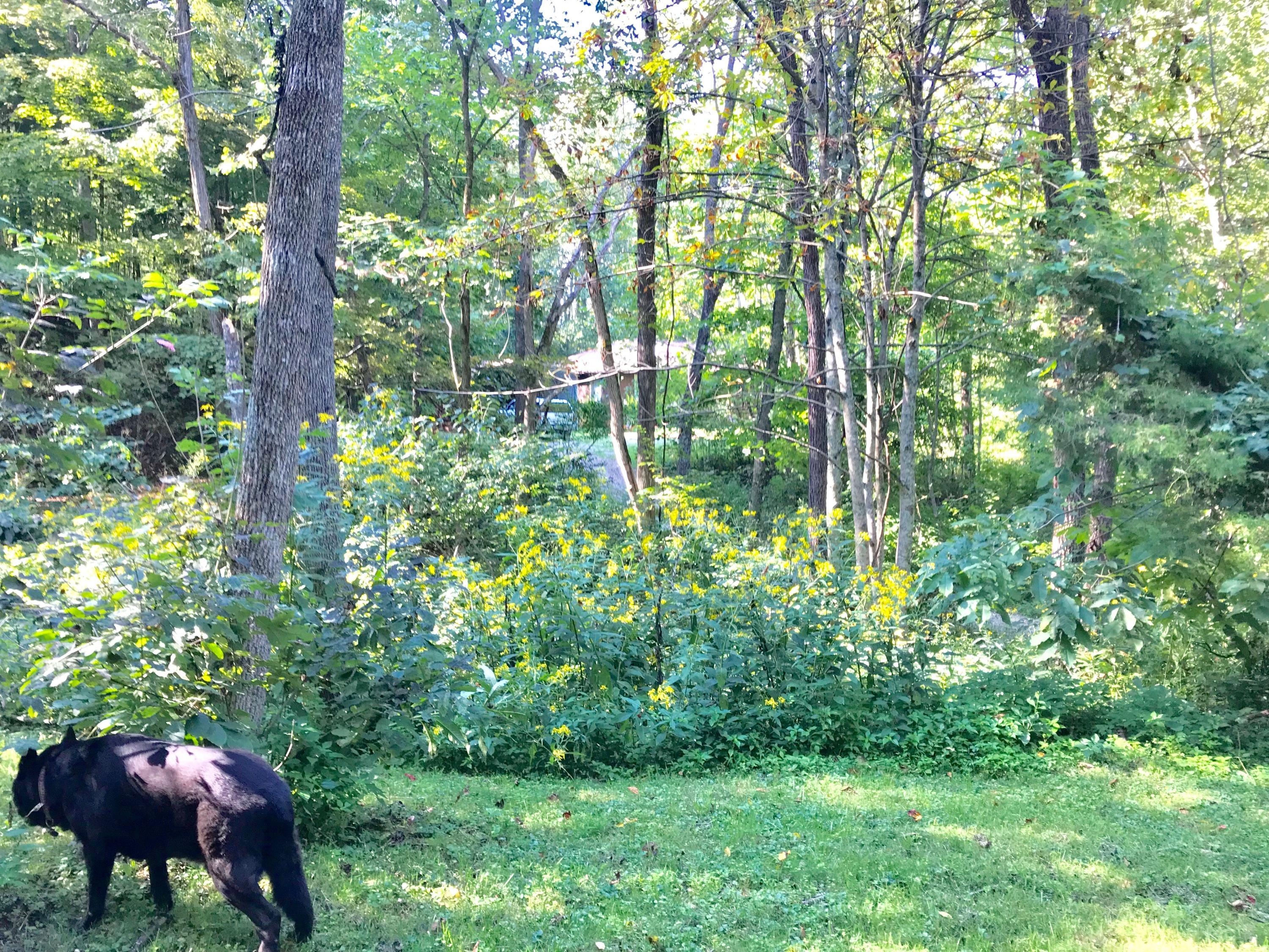5779 Beard Price Road Glouster, OH 45732 - Photo 86 of 95