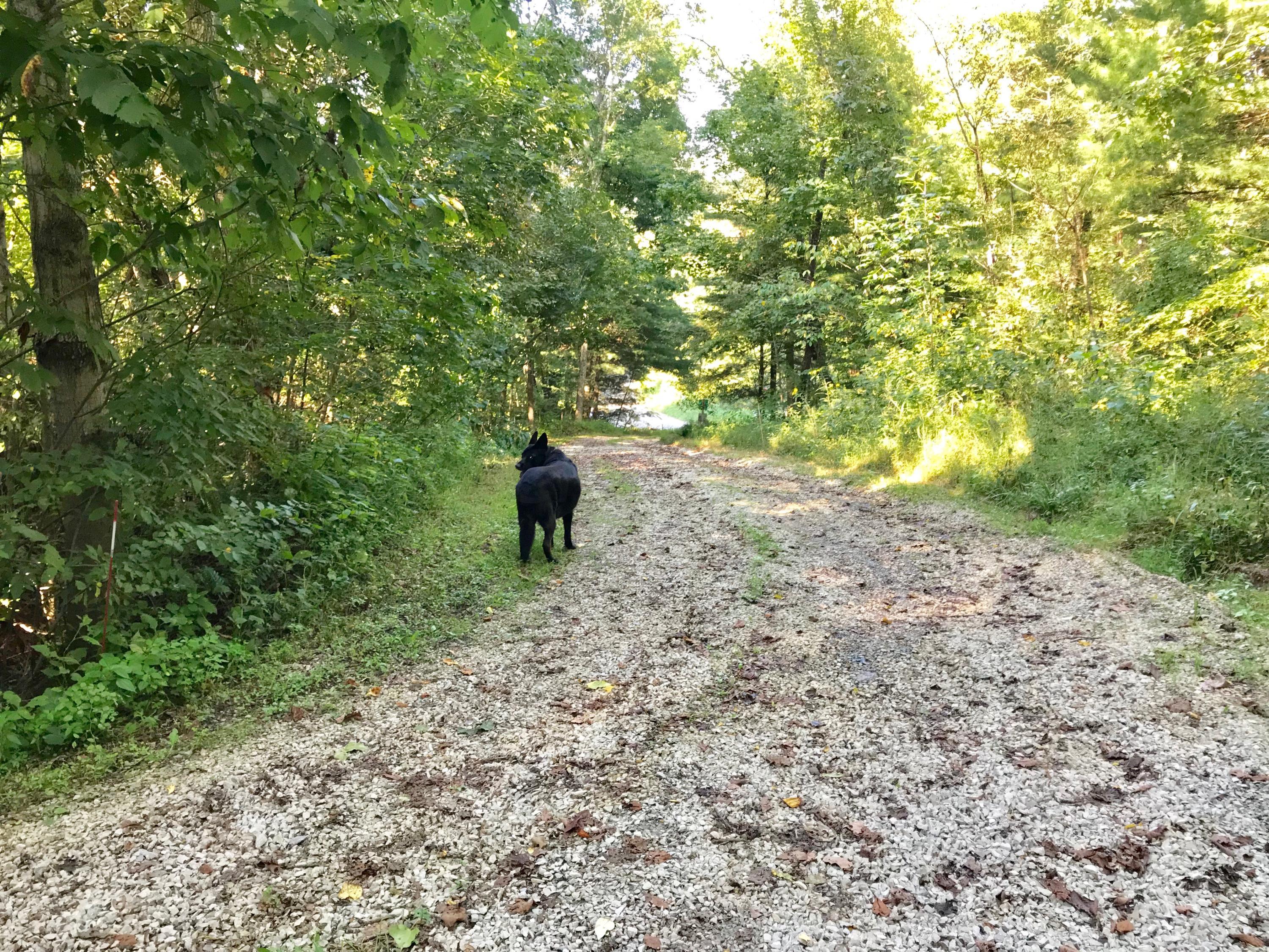 5779 Beard Price Road Glouster, OH 45732 - Photo 88 of 95