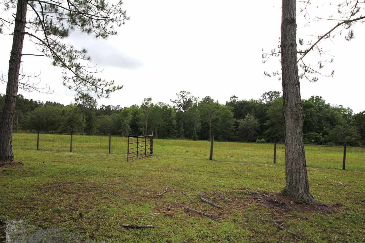 1082 Tram Road Monticello, FL 32344 - Photo 8 of 36 Gallery Image 8