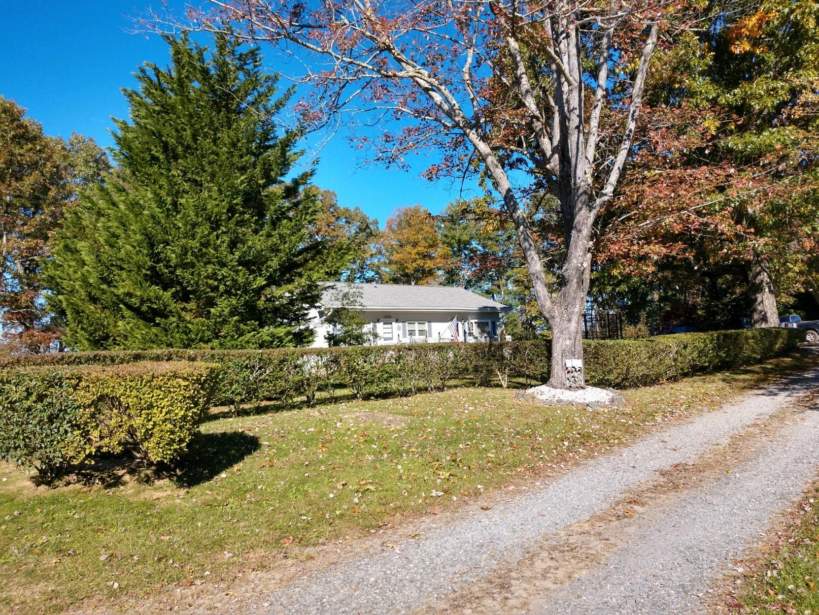 152 Oak View Lane Northeast Riner, VA 24149 - Photo 3 of 39 a view of a yard with plants and trees